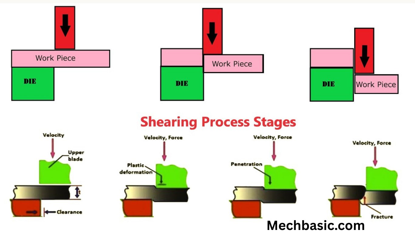 Shearing-Everything you need to know