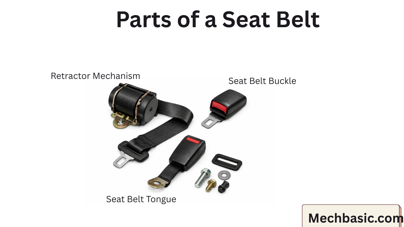 Parts of a Seat Belt-Everything you need to know