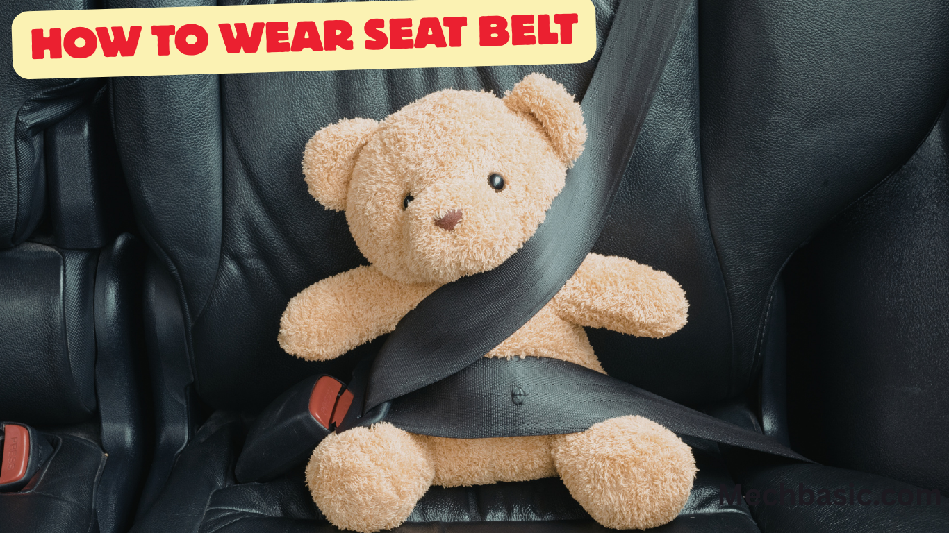 7 Steps to wear seat belt correctly